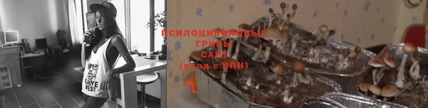 ECSTASY Алексеевка