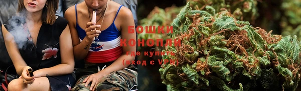 ГАЛЛЮЦИНОГЕННЫЕ ГРИБЫ Алексин